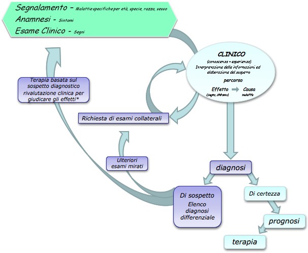 Schema Esame Di Coscienza Per Adulti Federica.EU - Semeiotica chirurgica veterinaria - 1. Concetti Generali