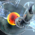 banner-blog-mente-cervello